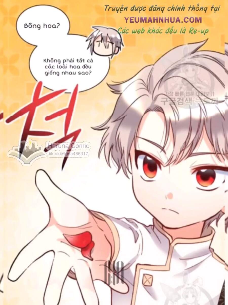 Sinh Đôi Xuyên Không Chap 72 - Next Chap 73