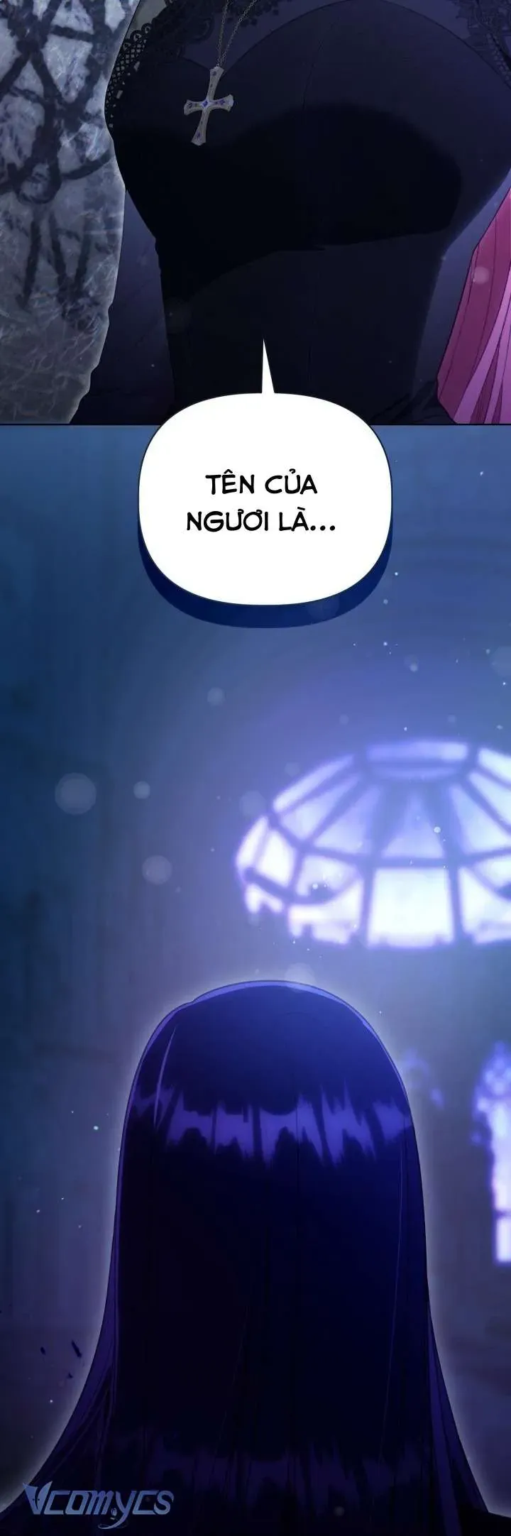 Sự Điều Trị Đặc Biệt Của Tinh Linh Chap 114 - Next Chap 115