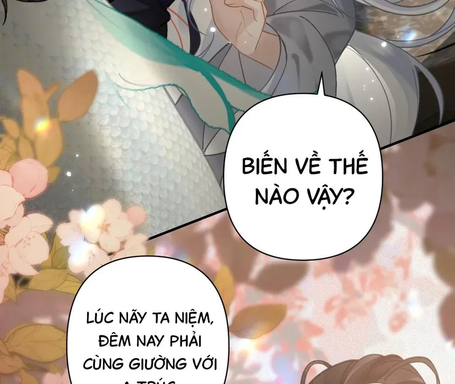 Đến Đông Hải Tìm Mỹ Nhân Chap 42 - Next Chap 43