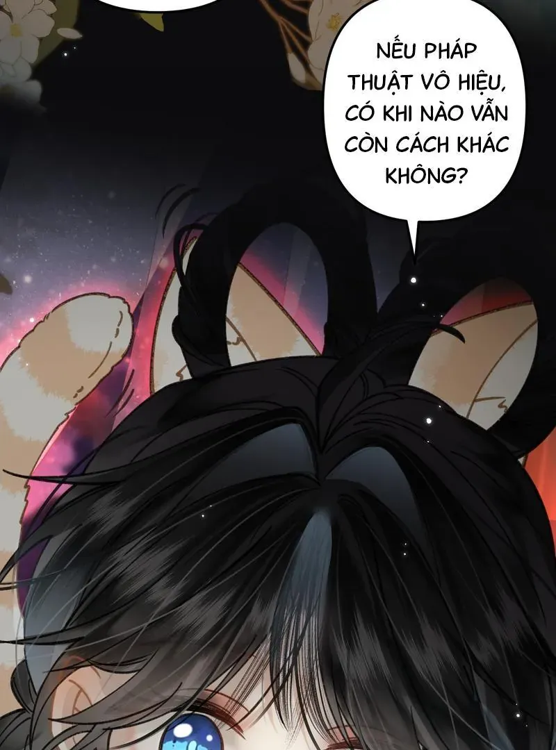 Đến Đông Hải Tìm Mỹ Nhân Chap 46 - Next Chap 47