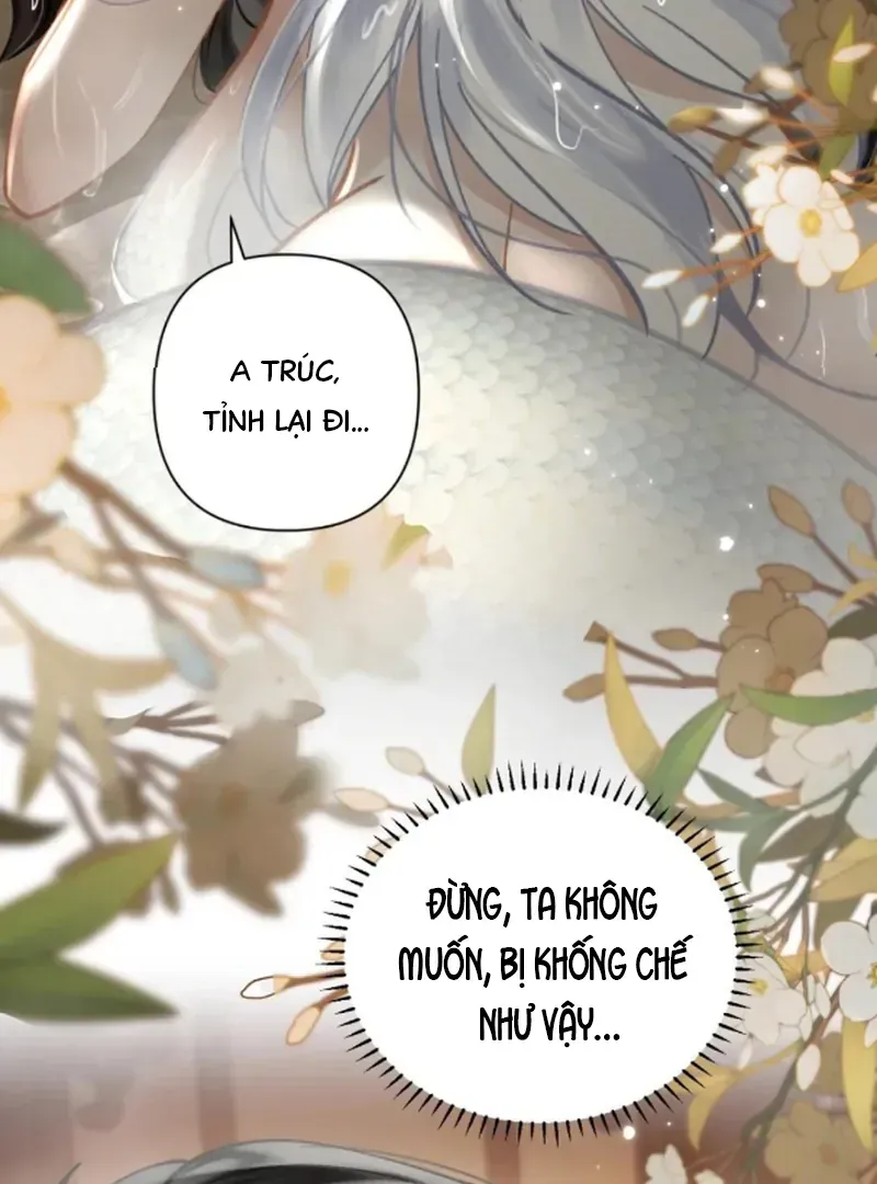 Đến Đông Hải Tìm Mỹ Nhân Chap 54 - Next Chap 55