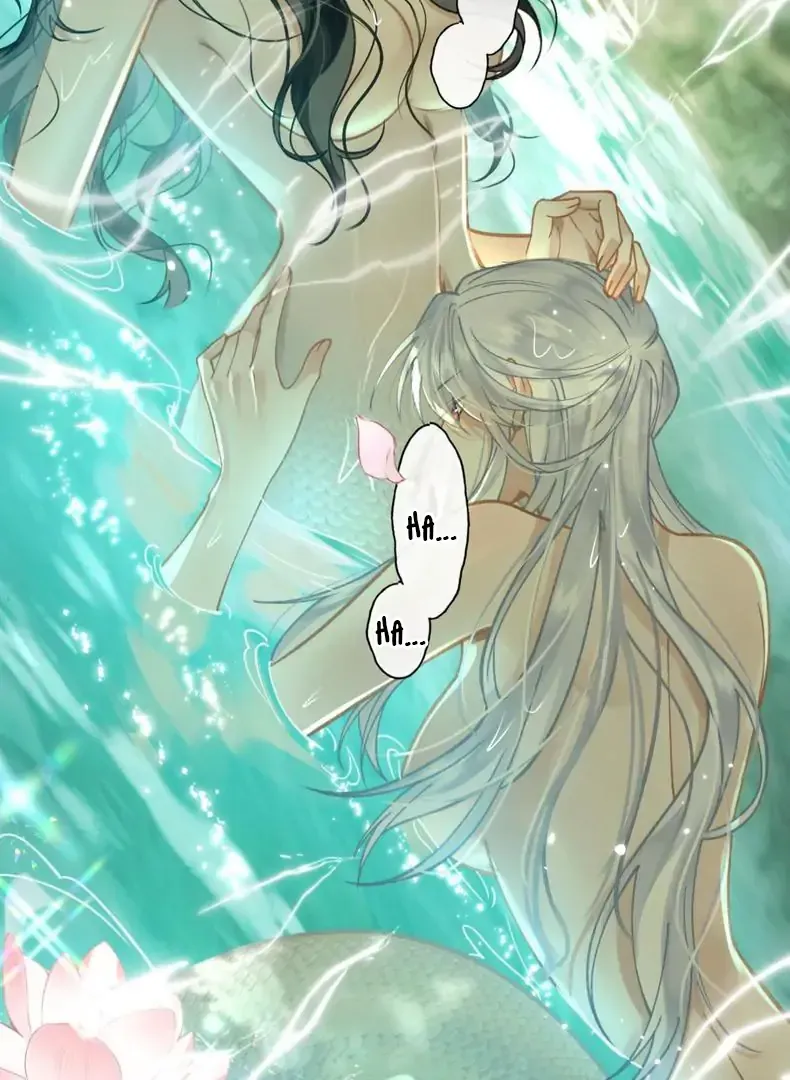 Đến Đông Hải Tìm Mỹ Nhân Chap 59 - Next Chap 60