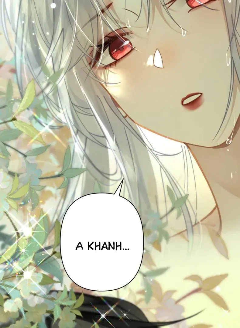 Đến Đông Hải Tìm Mỹ Nhân Chap 59 - Next Chap 60