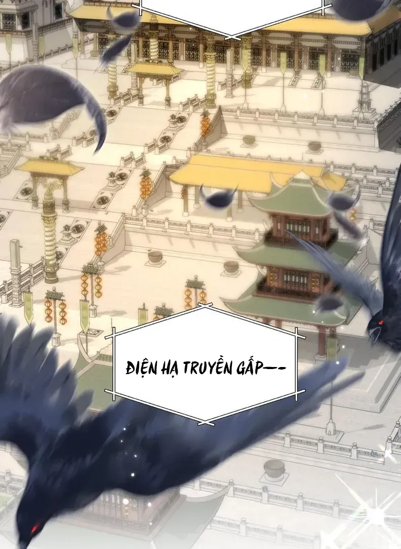 Đến Đông Hải Tìm Mỹ Nhân Chap 59 - Next Chap 60