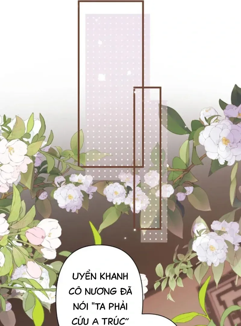 Đến Đông Hải Tìm Mỹ Nhân Chap 67 - Next Chap 68