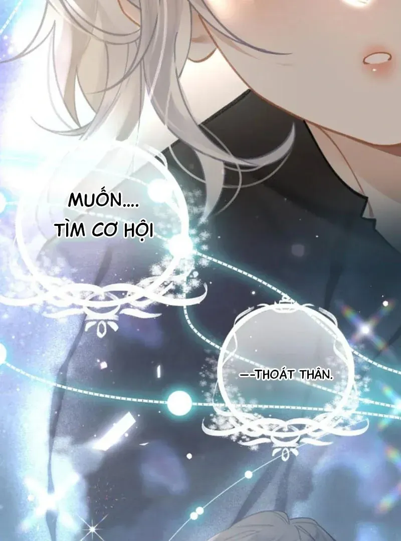 Đến Đông Hải Tìm Mỹ Nhân Chap 67 - Next Chap 68