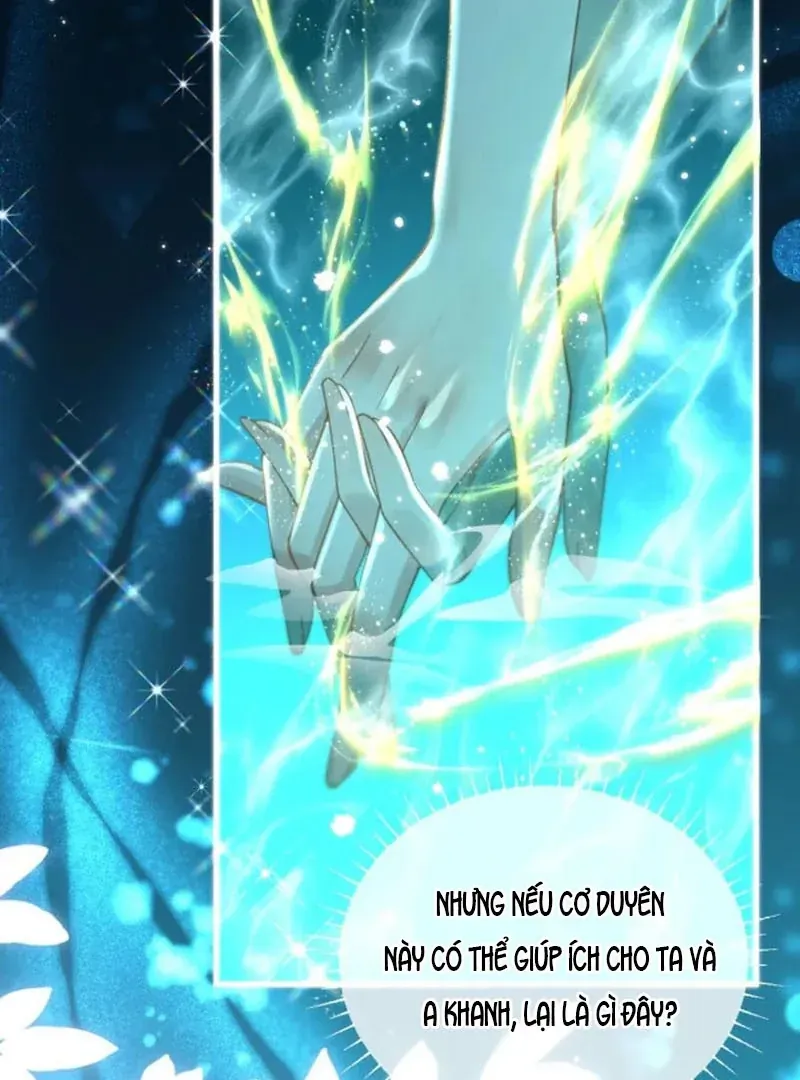 Đến Đông Hải Tìm Mỹ Nhân Chap 67 - Next Chap 68