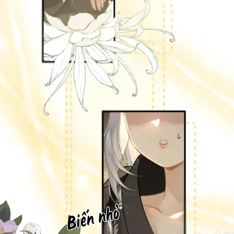 Đến Đông Hải Tìm Mỹ Nhân Chap 69 - Next Chap 70