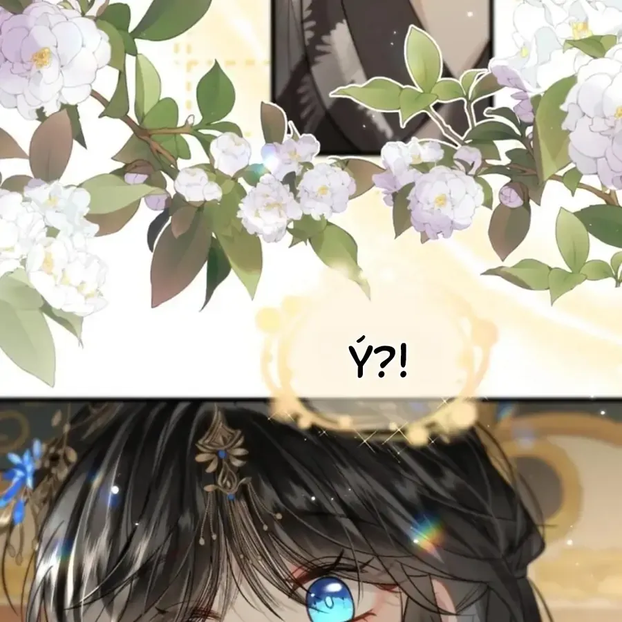 Đến Đông Hải Tìm Mỹ Nhân Chap 69 - Next Chap 70