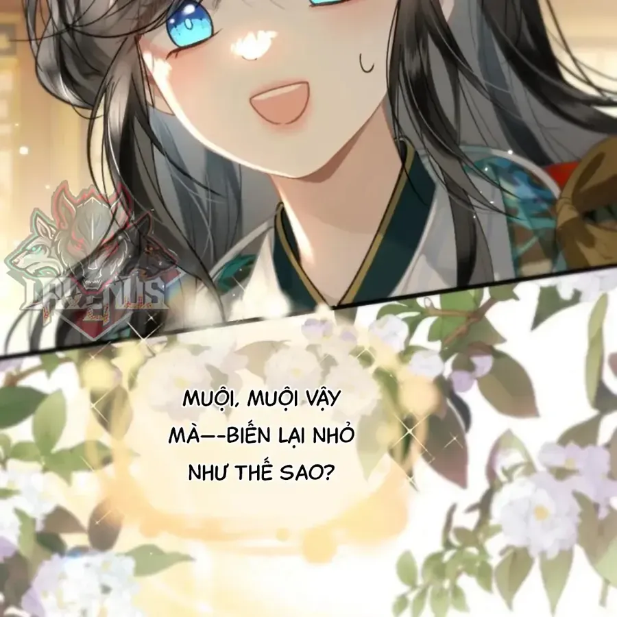 Đến Đông Hải Tìm Mỹ Nhân Chap 69 - Next Chap 70