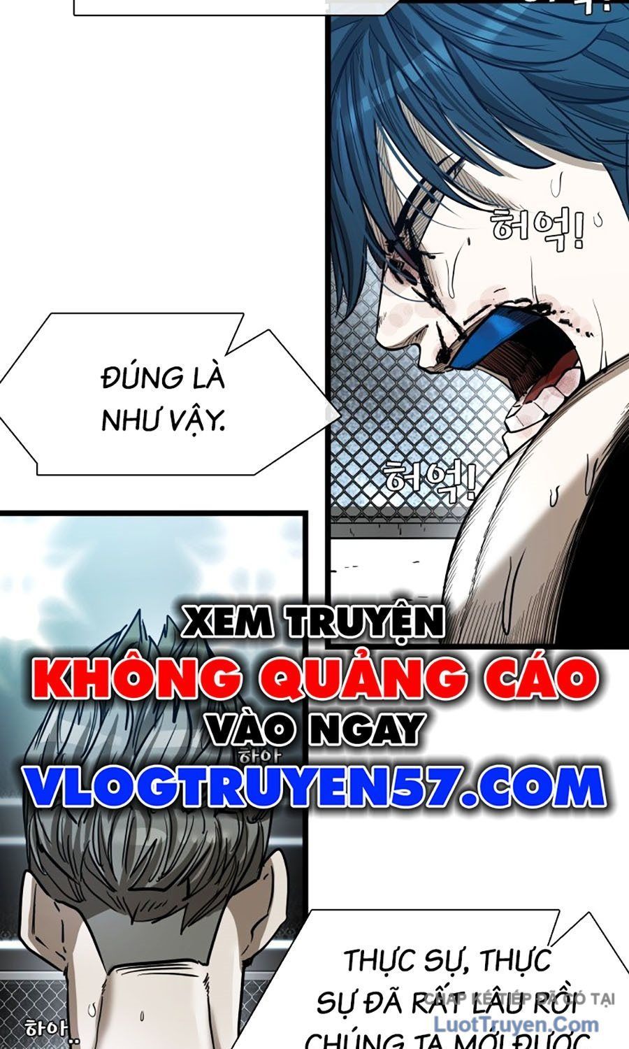 Shark - Cá Mập Chap 384 - Next Chap 385