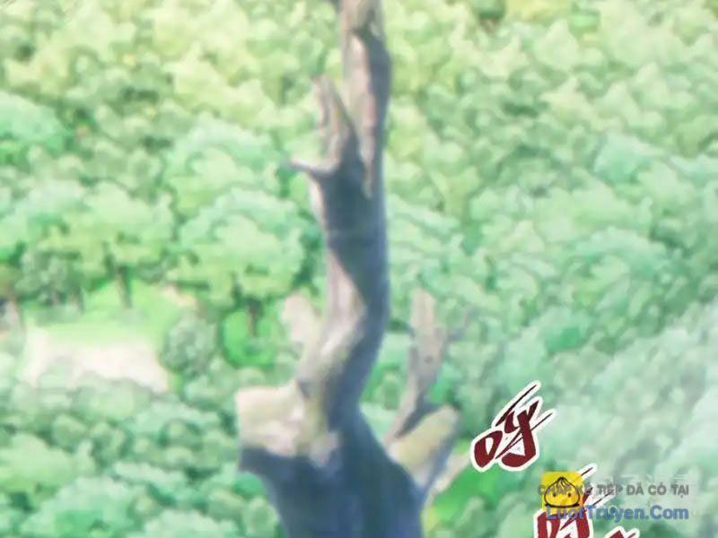 Mạt Thế Trùng Sinh: Ta Dựa Vào Mở Rương Vấn Dỉnh Đỉnh Phong Chap 76 - Next Chap 77