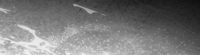 Ngục Tối Black Haze Chap 47 - Next Chap 48