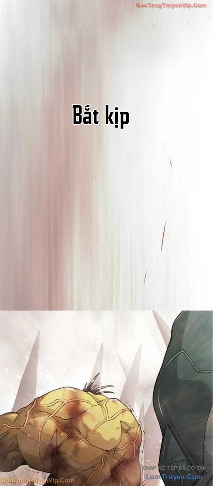 Kỷ Nguyên Siêu Anh Hùng Chap 215 - Next Chap 216