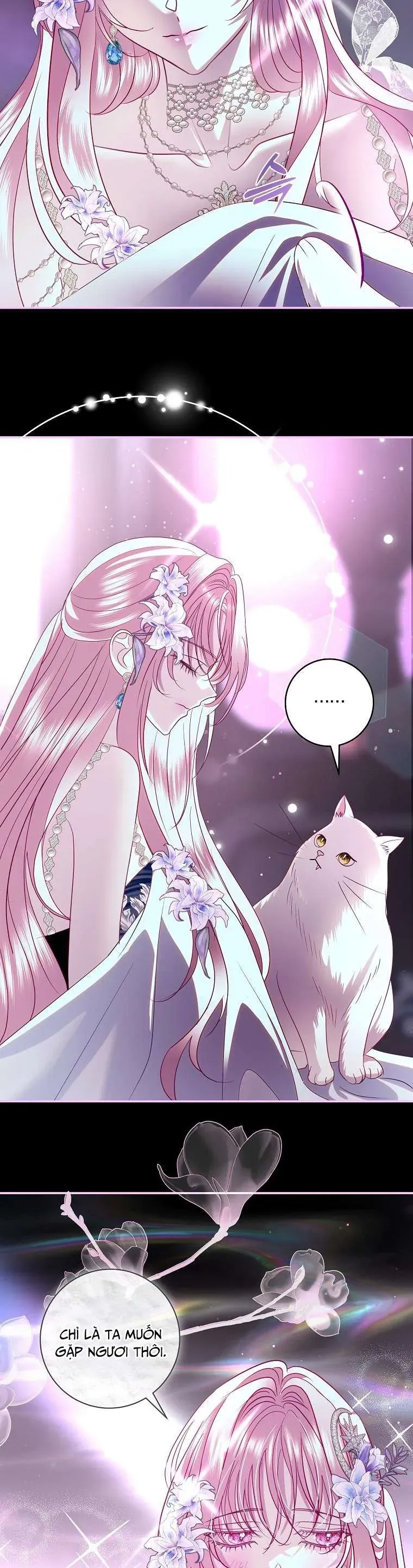 Phản Diện À, Tôi Sẽ Làm Mọi Thứ Cho Anh Trừ Kết Hôn Nhé! Chap 41 - Next Chap 42