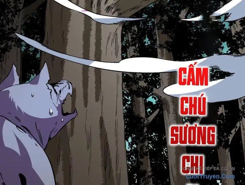Cấm Chú Sư Mạnh Nhất Lịch Sử Chap 42 - Next Chap 43