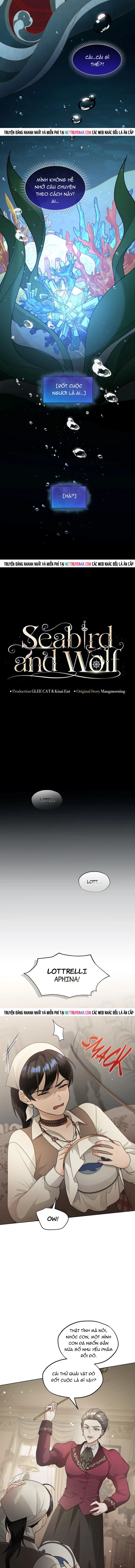 Hải Âu & Sói Hoang Chap 59 - Next Chap 60