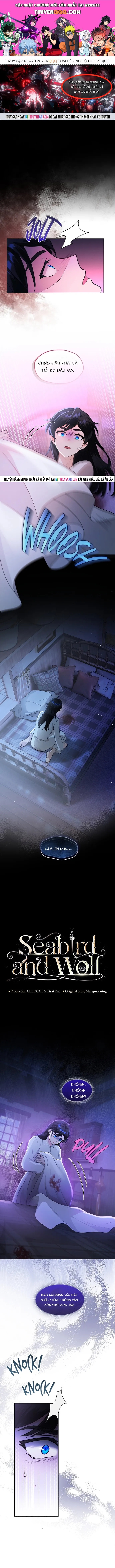 Hải Âu & Sói Hoang Chap 60 - Next Chap 61