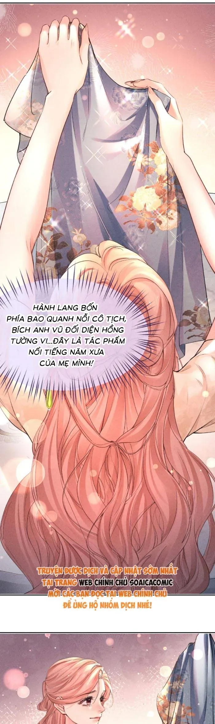 Định Mệnh Sau Cú Đấm Nhầm Chap 17 - Next Chap 18