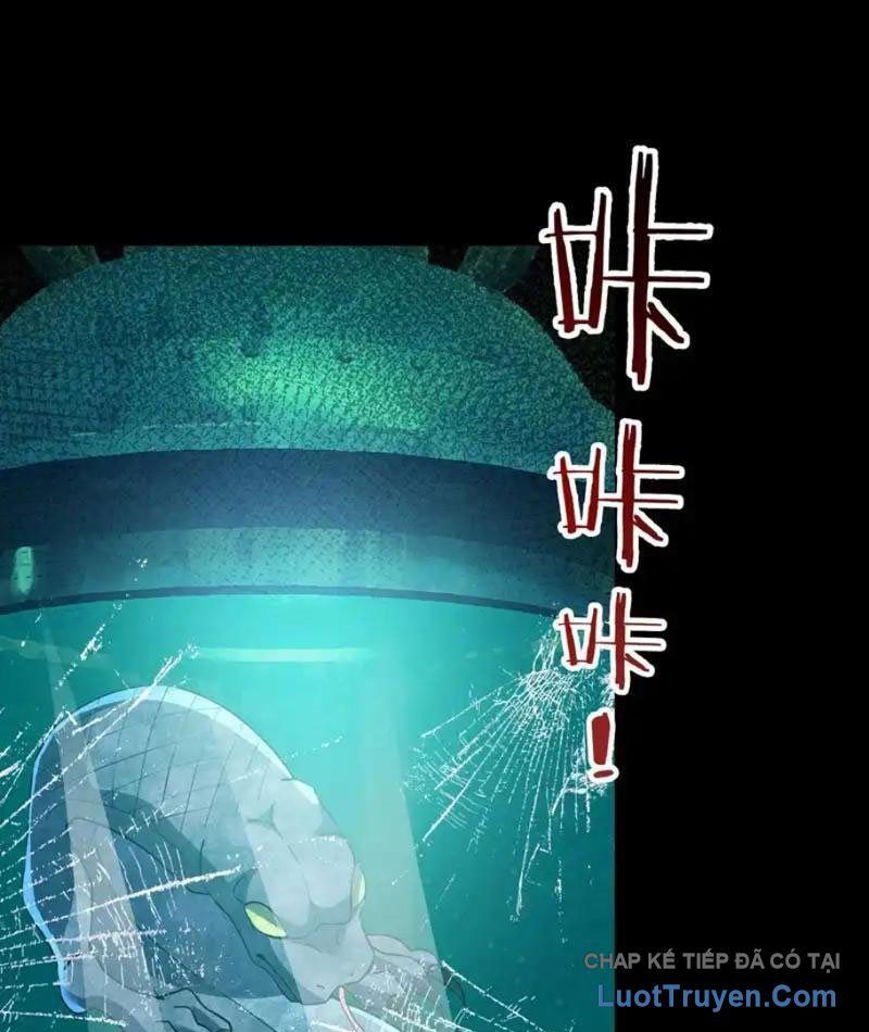 Toàn Cầu Sợ Hãi: Tôi Mở Hack Tự Chọn Cửa Hàng Chap 37 - Next Chap 38