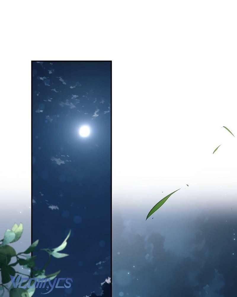 Các Nam Chính Đã Bị Nữ Phụ Cướp Mất Chap 66 - Next Chap 67