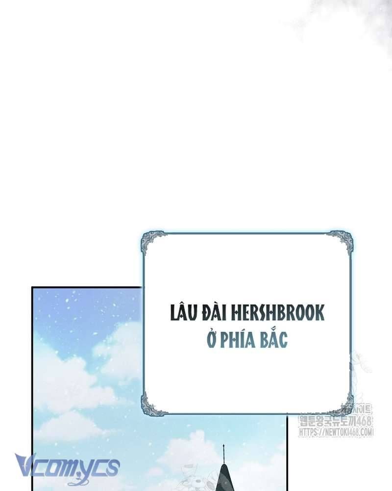 Các Nam Chính Đã Bị Nữ Phụ Cướp Mất Chap 66 - Next Chap 67