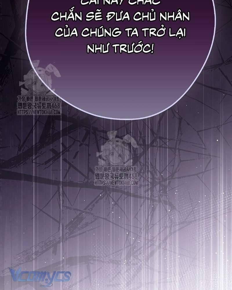 Các Nam Chính Đã Bị Nữ Phụ Cướp Mất Chap 66 - Next Chap 67