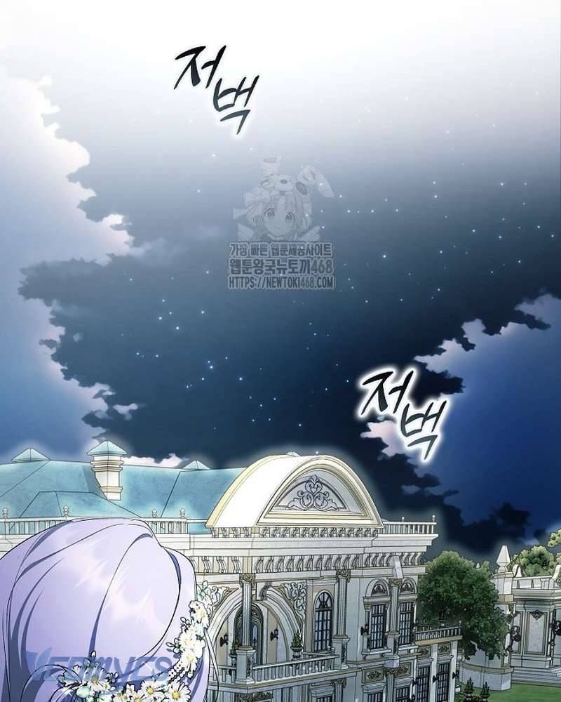 Các Nam Chính Đã Bị Nữ Phụ Cướp Mất Chap 66 - Next Chap 67