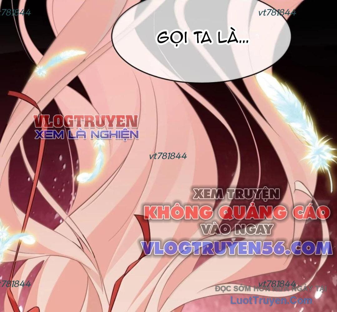 Vượt Cấp Xuyên Không, Tại Sao Tôi Lại Trở Thành Tiểu Thư Tu Sĩ? Chap 61 - Next Chap 62