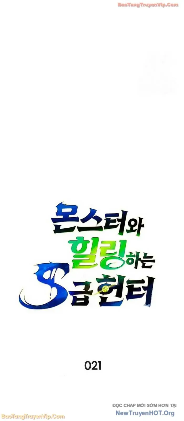 Healer Cấp S Chữa Trị Cho Quái Vật Chap 21 - Next Chap 22