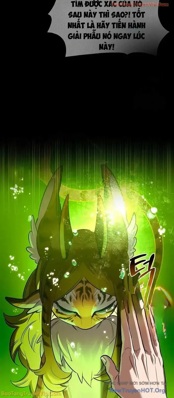 Healer Cấp S Chữa Trị Cho Quái Vật Chap 21 - Next Chap 22