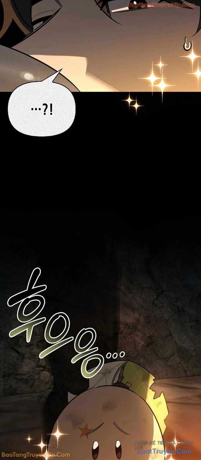 Healer Cấp S Chữa Trị Cho Quái Vật Chap 24 - Next Chap 25