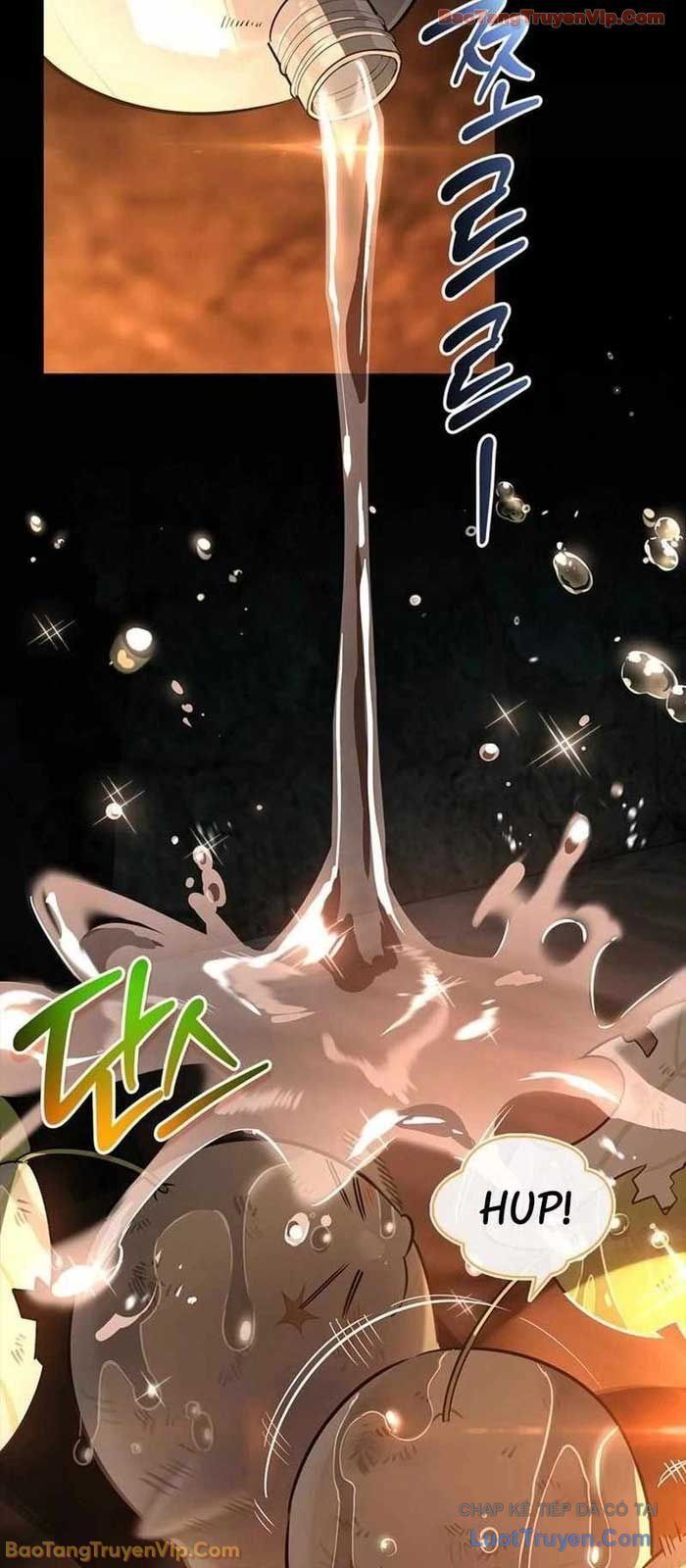 Healer Cấp S Chữa Trị Cho Quái Vật Chap 24 - Next Chap 25