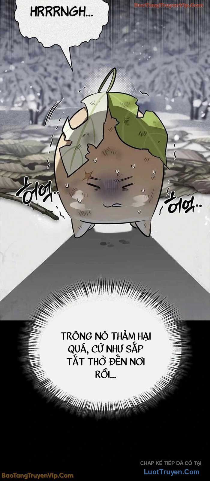 Healer Cấp S Chữa Trị Cho Quái Vật Chap 24 - Next Chap 25