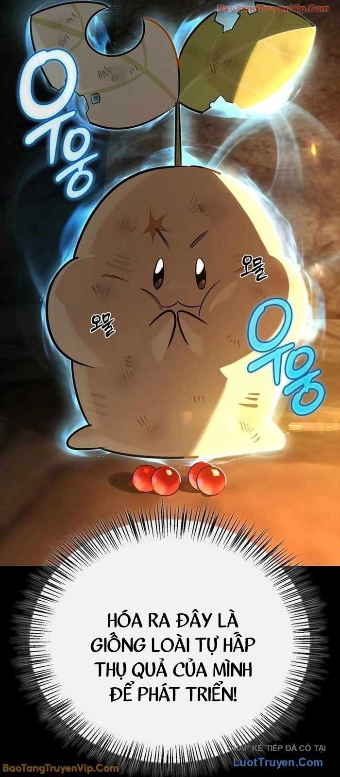 Healer Cấp S Chữa Trị Cho Quái Vật Chap 24 - Next Chap 25