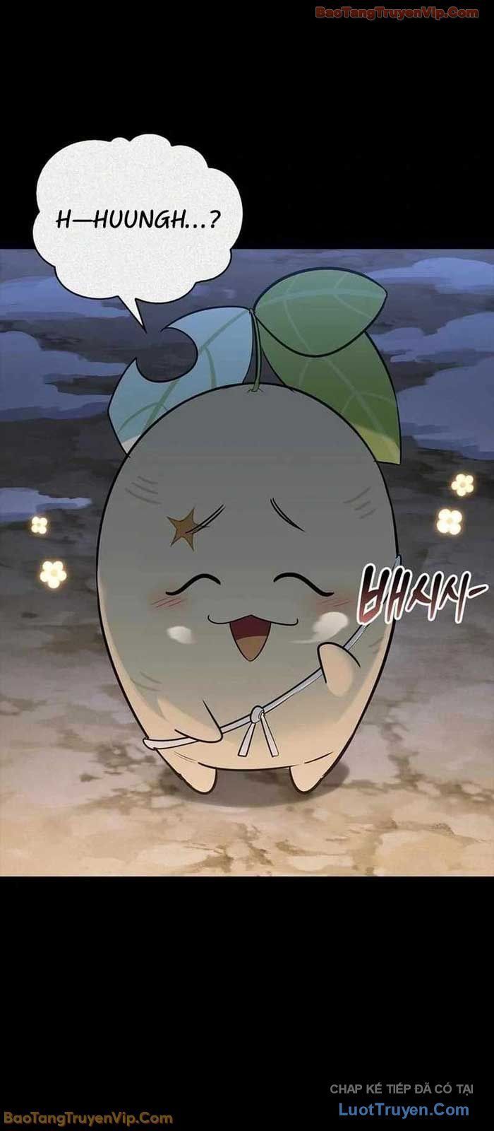 Healer Cấp S Chữa Trị Cho Quái Vật Chap 24 - Next Chap 25