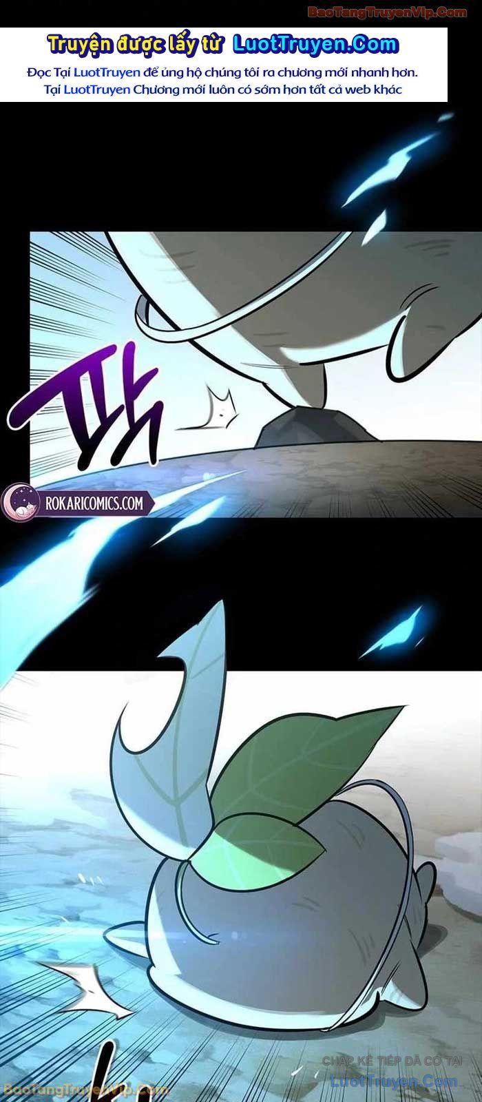Healer Cấp S Chữa Trị Cho Quái Vật Chap 24 - Next Chap 25