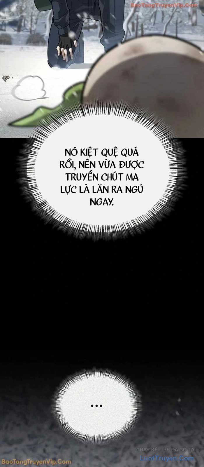 Healer Cấp S Chữa Trị Cho Quái Vật Chap 24 - Next Chap 25