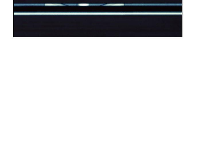 Cửa Hàng Đồ Cổ Tương Lai Chap 66 - Next Chap 67