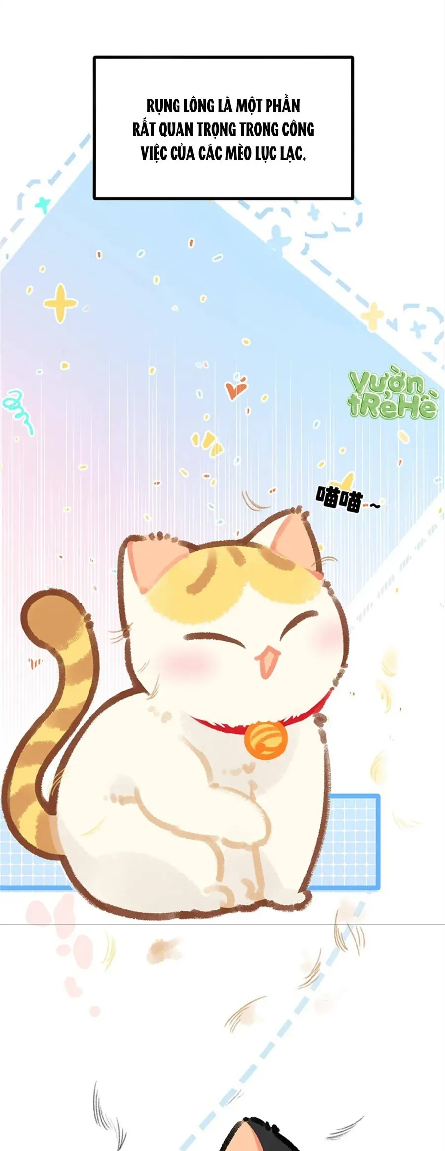 Lục Lạc Mèo Chap 38 - Next Chap 39