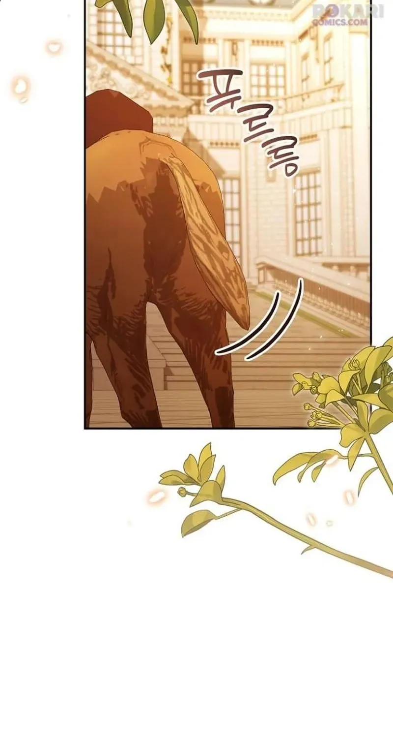 Cô Dâu Của Đại Công Tước Là Chiến Binh Địa Ngục Chap 38 - Next Chap 39