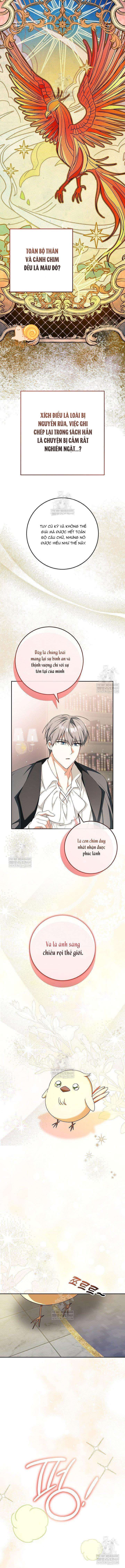 Nàng Chim Được Dinh Thự Sói Yêu Thương Chap 62 - Next Chap 63
