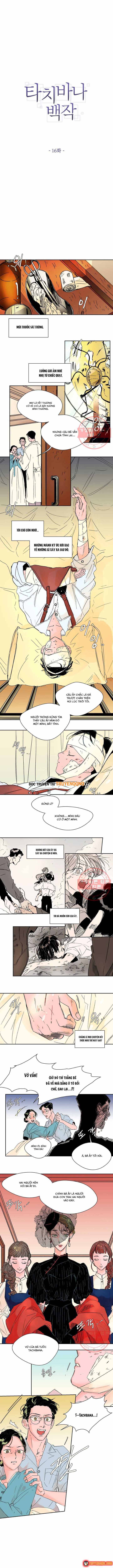 Bá Tước Tachibana Chap 16 - Next Chap 17