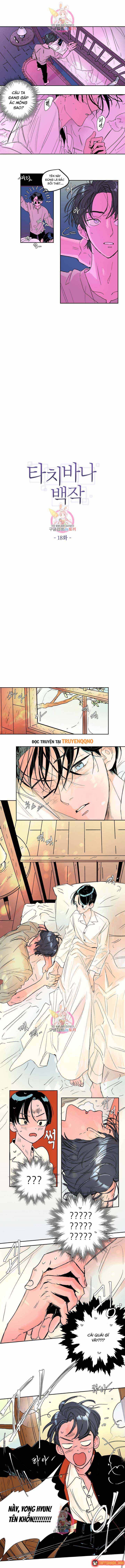 Bá Tước Tachibana Chap 18 - Next Chap 19