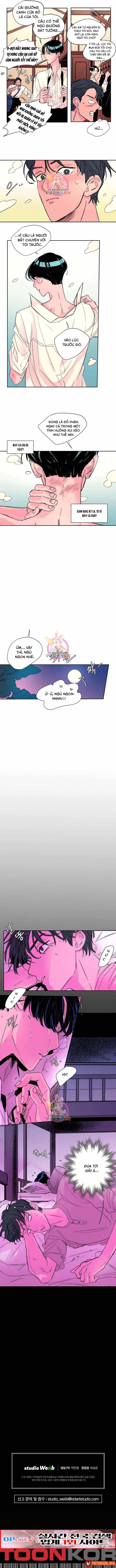 Bá Tước Tachibana Chap 17 - Next Chap 18