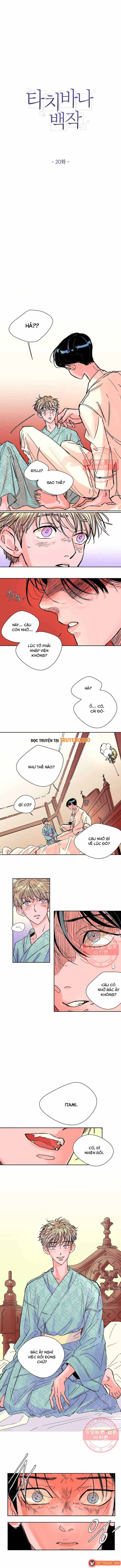 Bá Tước Tachibana Chap 20 - Next Chap 21