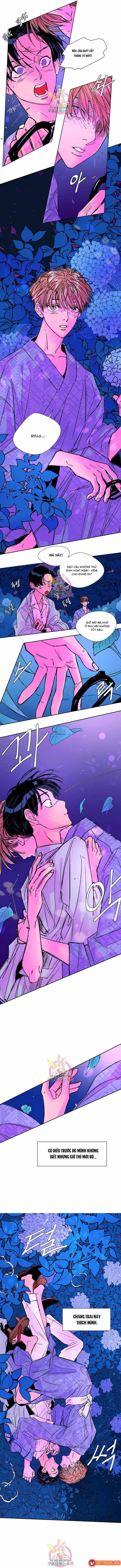 Bá Tước Tachibana Chap 19 - Next Chap 20