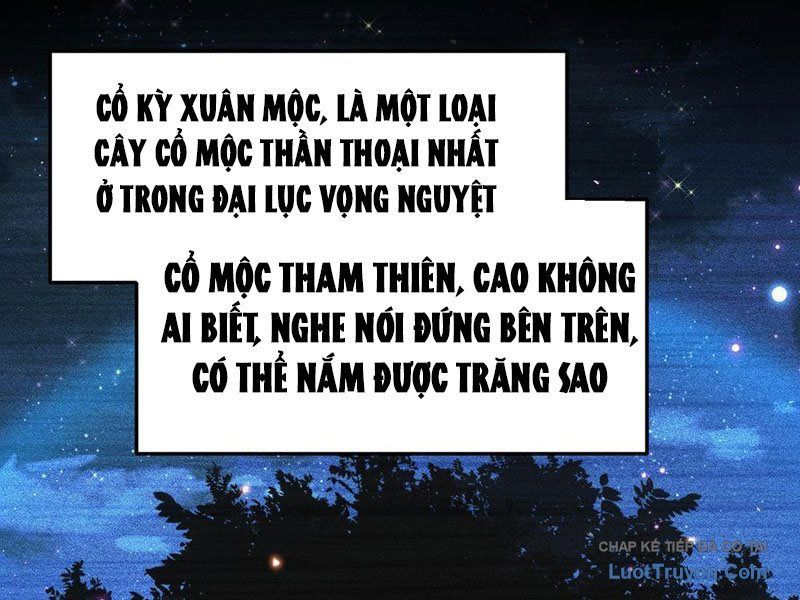 Kim Đan To Bằng Hằng Tinh! Ngươi Gọi Đây Mà Là Tu Tiên Á?! Chap 13 - Next Chap 14