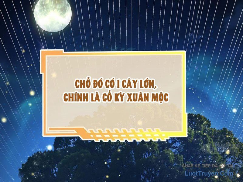 Kim Đan To Bằng Hằng Tinh! Ngươi Gọi Đây Mà Là Tu Tiên Á?! Chap 13 - Next Chap 14
