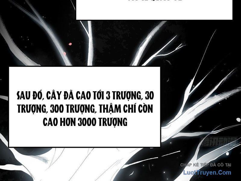 Kim Đan To Bằng Hằng Tinh! Ngươi Gọi Đây Mà Là Tu Tiên Á?! Chap 13 - Next Chap 14